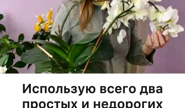 Орхидеи цветут круглый год! Всего два простых средства сделали из них настоящий роскошный букет.