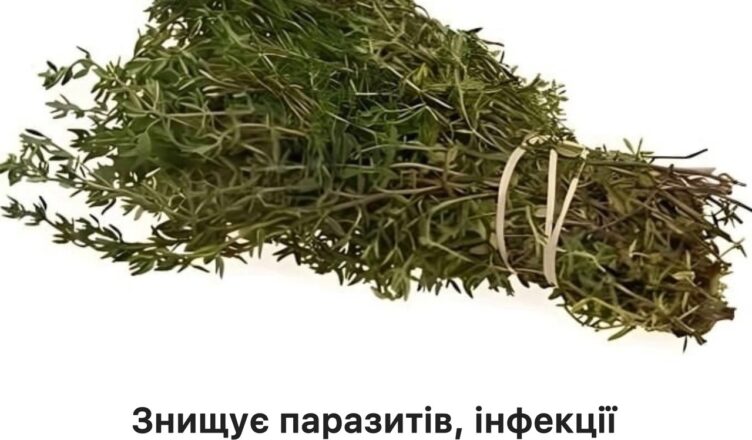Найпотужніша рослина проти паразитів, інфекцій сечової системи, герпесу та грипу
