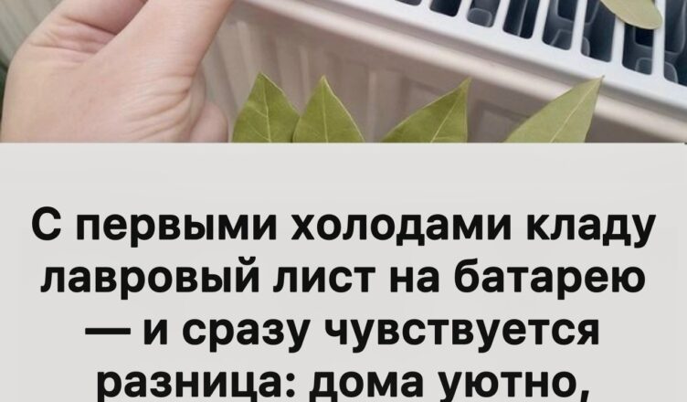С первыми холодами кладу лавровый лист на батарею — и дома становится спокойнее, уютнее, вся семья сразу замечает разницу.