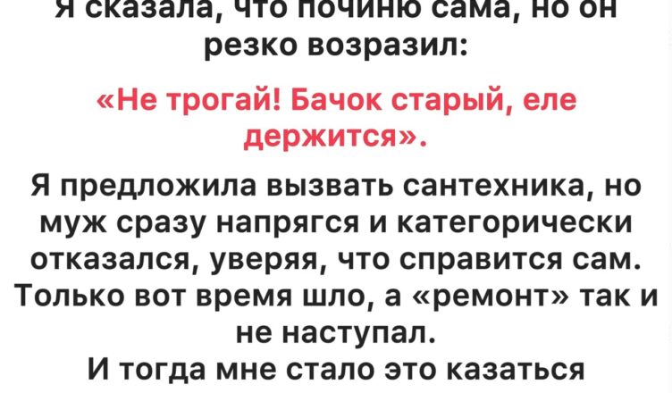 Муж неделями тянул с ремонтом унитаза и наотрез отказывался звать сантехника — а когда я всё-таки приподняла крышку бачка, просто оцепенела.