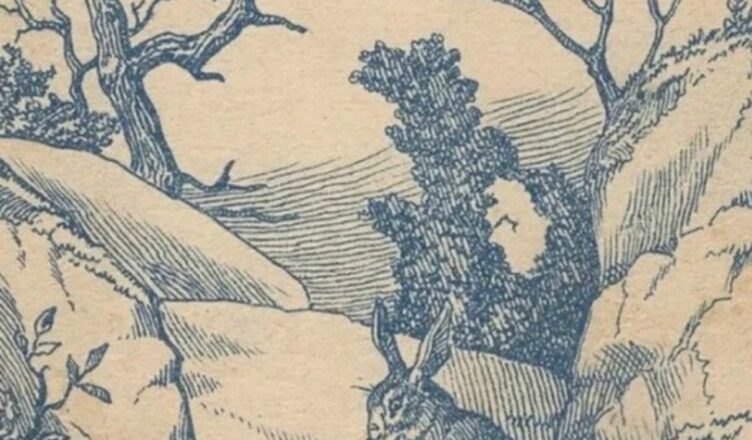Лишь действительно внимательные сумеют обнаружить, где прячется охотникс, за 7 секунд.