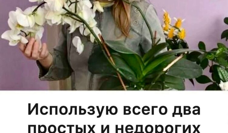 Орхидеи цветут круглый год! Всего два простых средства сделали из них настоящий роскошный букет.