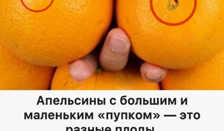 Запомни эти советы — и в следующий раз точно выберешь самые удачные апельсины!