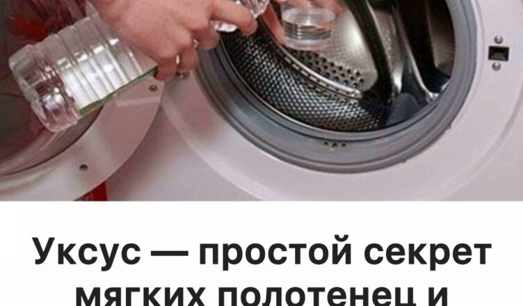 Уксус отлично очищает стиральную машину изнутри — узнай, как его правильно использовать
