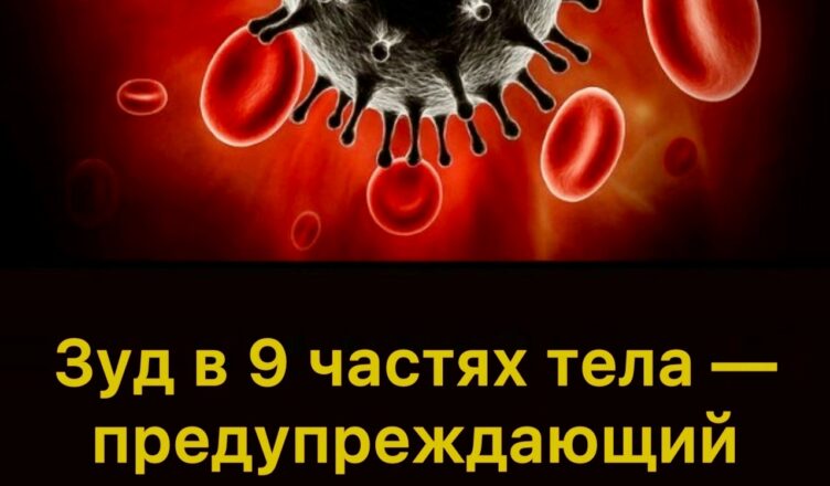 Зуд в 9 частях тела — предупреждающий знак злокачественных опухолей: особенно частая зона №7
