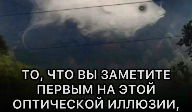 То, что ты заметил первым, раскроет важные детали о твоей личности!