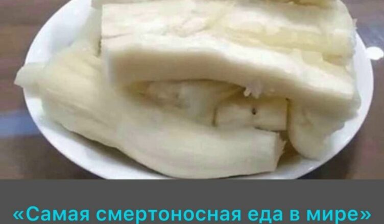Ежегодно более 200 человек умирают от «самой опасной еды в мире», но при этом почти полмиллиарда продолжают включать её в свой рацион.