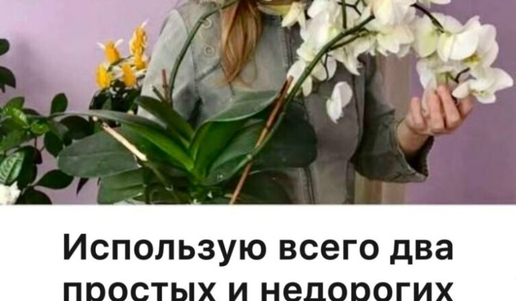 Орхидеи цветут круглый год! Всего два простых средства сделали из них настоящий роскошный букет.