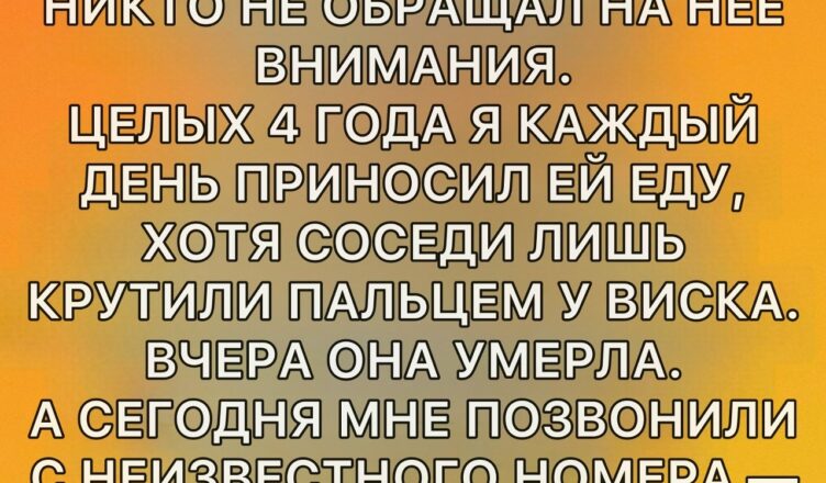 В мире, где все спешат к успеху, деньгам и признанию, легко пройти мимо тех, кто живёт тихо и незаметно.