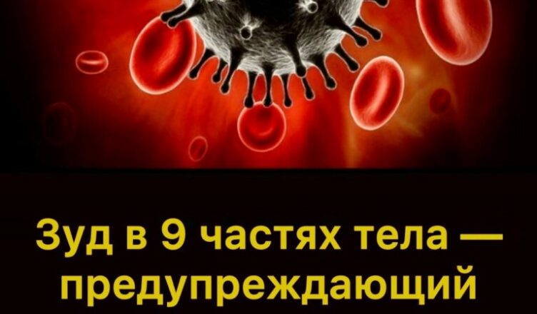Зуд в 9 частях тела — предупреждающий знак злокачественных опухолей: особенно частая зона №7