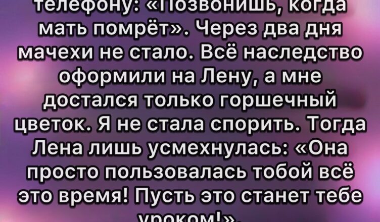 После смерти мачехи её дочь не скрывала злорадства: дом, деньги и всё имущество перешли к ней, а мне достался лишь цветок в горшке.