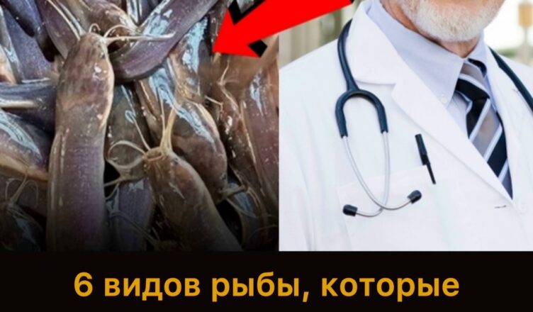 Никогда не ешьте это — даже врачи боятся