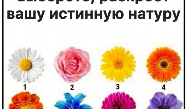 Выбранный вами цветок подскажет, какая черта характера у вас доминирует.