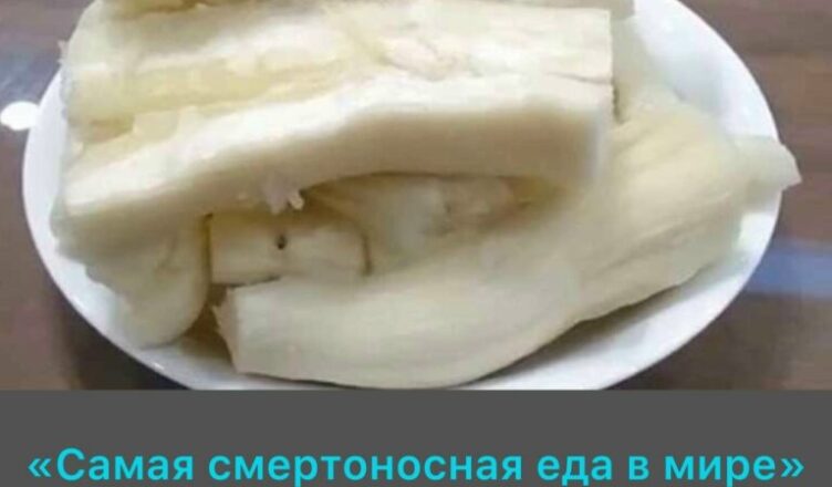 Ежегодно более 200 человек умирают от «самой опасной еды в мире», но при этом почти полмиллиарда продолжают включать её в свой рацион.
